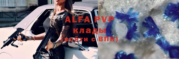 стаф Надым