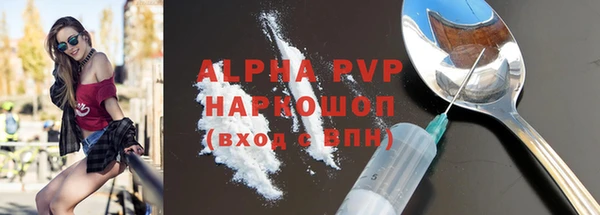 стаф Надым