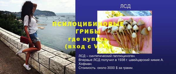apvp Белая Холуница