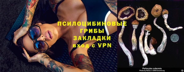 стаф Надым