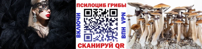 Галлюциногенные грибы Cubensis  Смоленск 